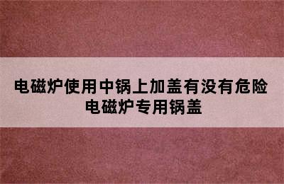 电磁炉使用中锅上加盖有没有危险 电磁炉专用锅盖